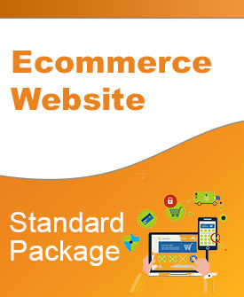 Ecommerce Website Standard Pack