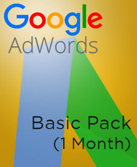 Google Adwords Basic Pack (1 Month)