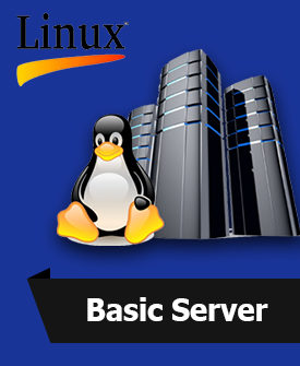 Linux Basic Server