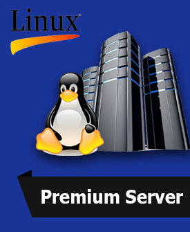 Linux Premium Server