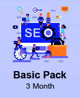 SEO Basic Pack (3 Month)