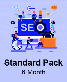 SEO Standard Pack (6 Month)